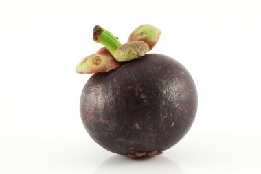 Beyaz arka planda mangosteen