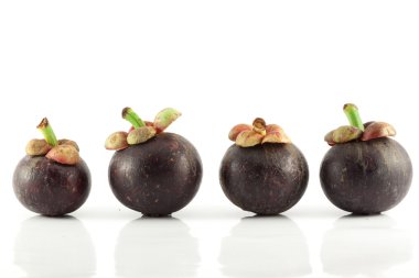 Mangosteen on white background clipart