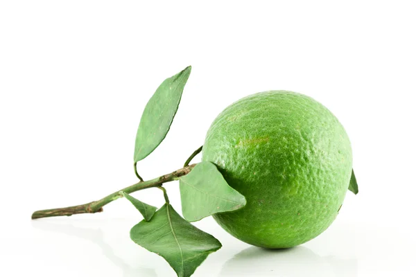 Yeşil mandalina izole — Stok fotoğraf