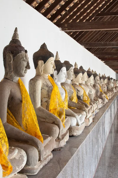 Buddha zařídil v několika řadách podél zdi — Stock fotografie