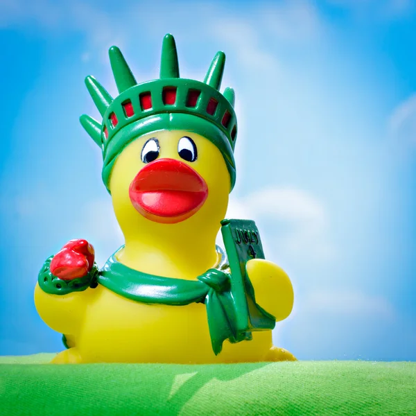 Duck of liberty — Stock Photo, Image