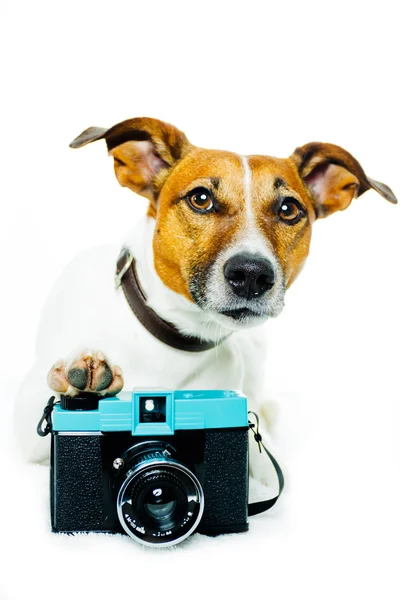 Perro usando cámara — Foto de Stock