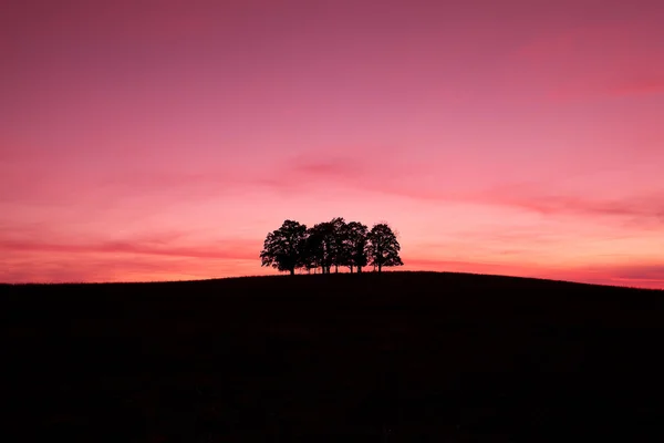 日没の丘の上 — ストック写真