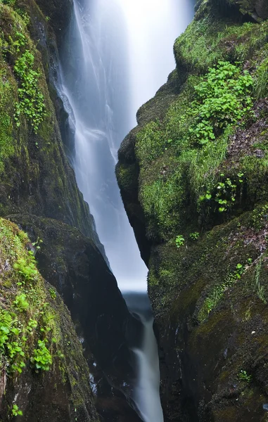 A cachoeira — Fotografia de Stock