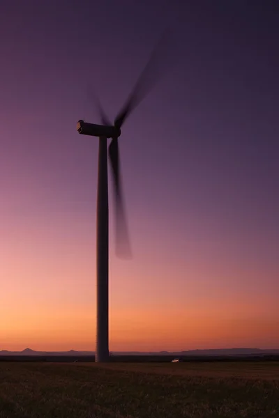 Windfarm — Stok fotoğraf