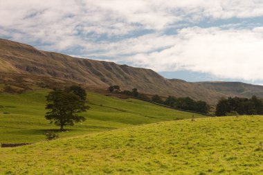 Yorkshire dales içinde