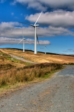 Windfarm