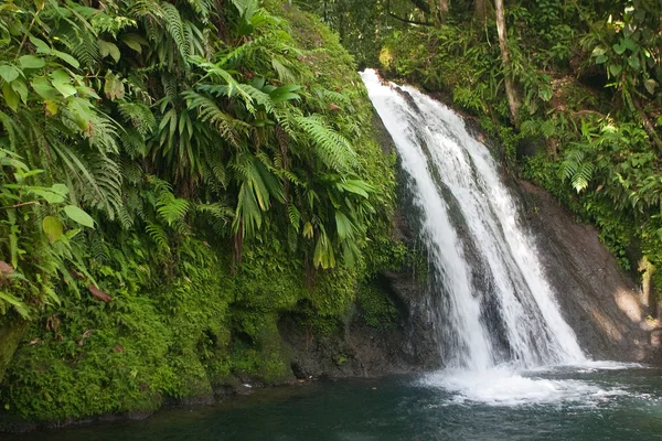 Waterfall — Stock Photo, Image