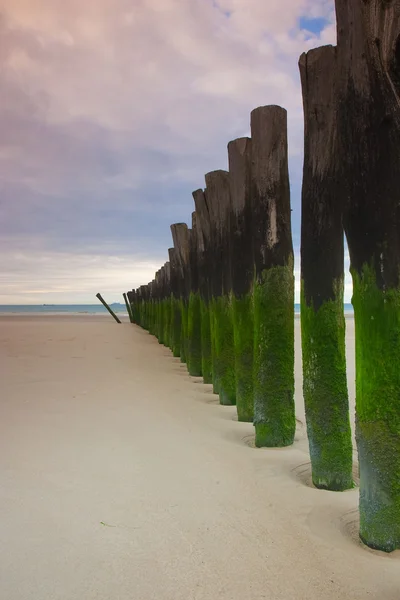 stock image Breakwater