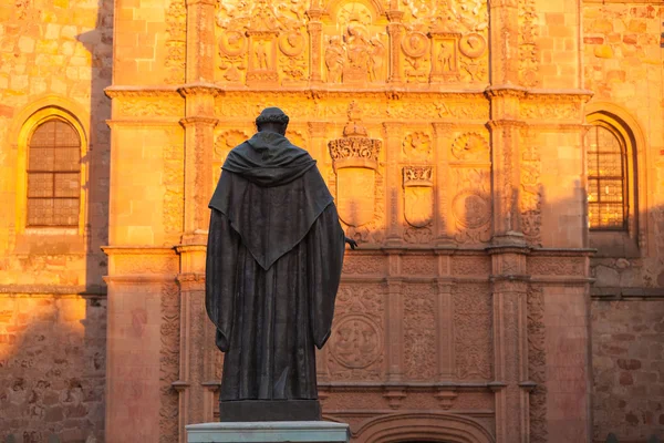 Salamanca cathedral — Stockfoto