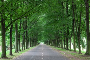 Empty road in Zion clipart