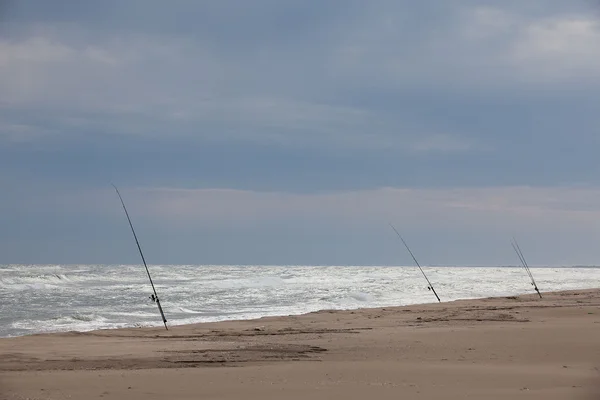 stock image Fishing