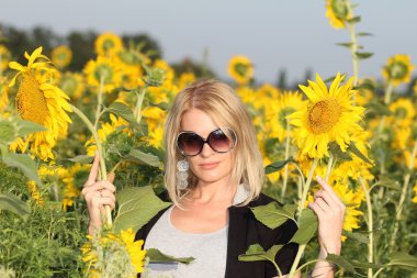 güzellik kadın ve ayçiçekleri alanı