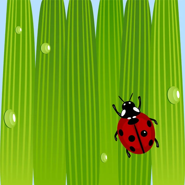 Ladybug on grass — Stock Vector