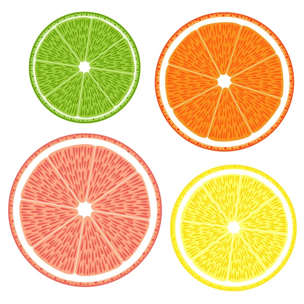Lime, grapefruit, narancs, citrom — Stock Vector