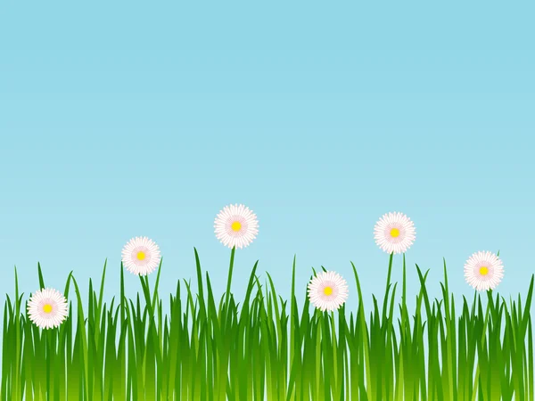 Grass with flowers — Stock Vector