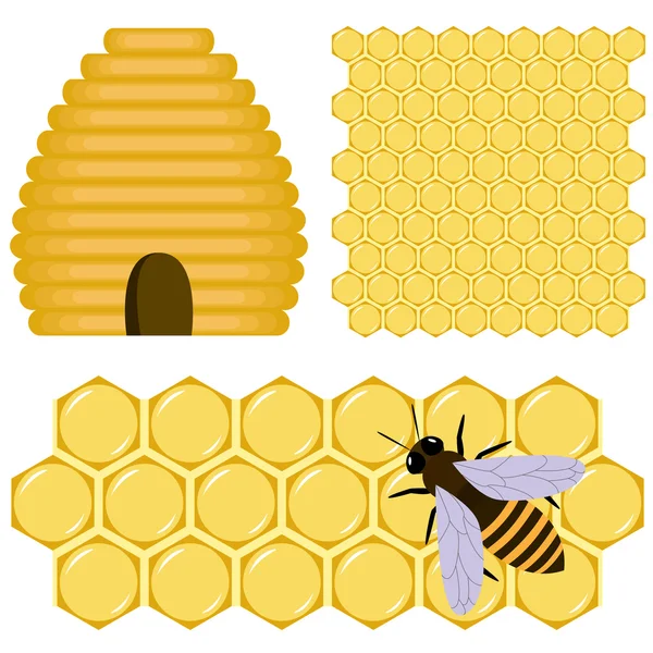 蜂蜜セット — ストックベクタ