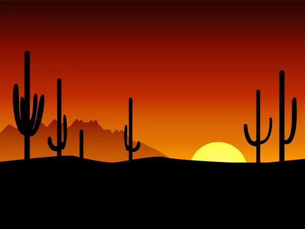 Pôr do sol. Deserto. Cactus . —  Vetores de Stock
