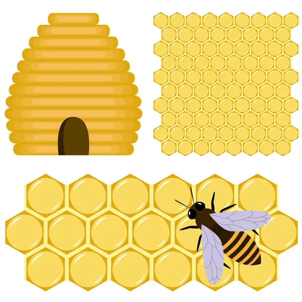 벌 꿀 세트 — 스톡 벡터