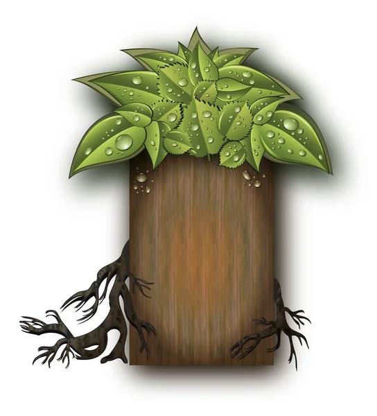 Árbol raíces Bio jardín hojas vector fondo madera — Vector de stock