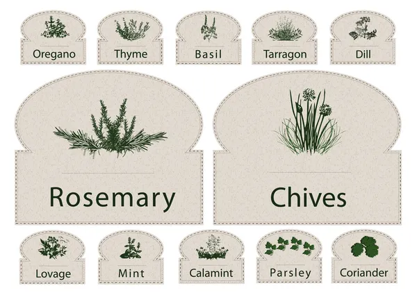 Étiquettes Herbes papier épices — Image vectorielle