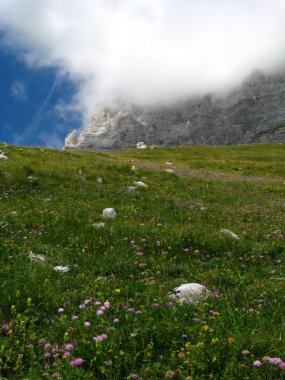 alçak bulutlar ile Alpin çayır