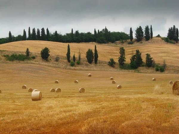 Colinas da Toscana com fardos de feno — Fotografia de Stock