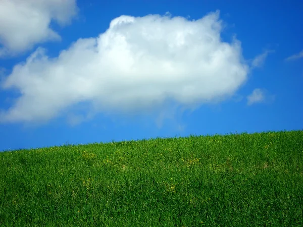 Sommerwiese mit blauem Himmel und Wolken — Stockfoto