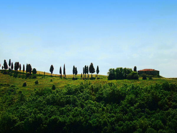 Line of trees on top of a hill in Tuscany, with farmhouse and forest