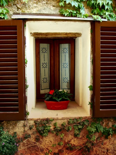 Fenster mit weißem Rahmen und roten Blumen — Stockfoto