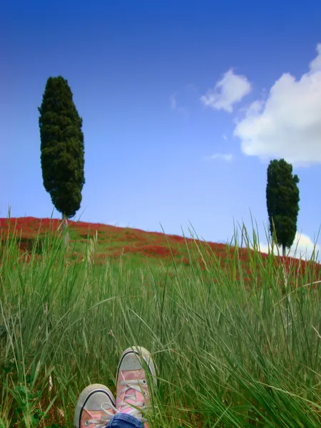 Ontspan op de grasvelden met roze schoenen — Stockfoto