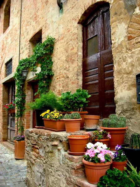 Porta italiana com escadas e vasos de flores e cactos — Fotografia de Stock