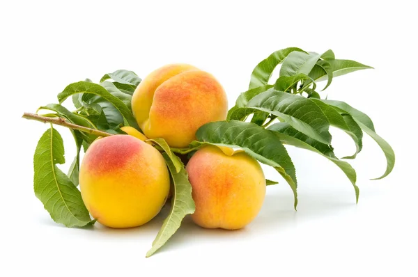 新鲜的桃子 — 图库照片