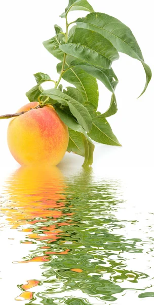 桃と水 — ストック写真