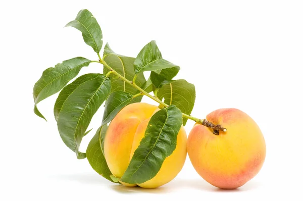 新鲜的桃子 — 图库照片