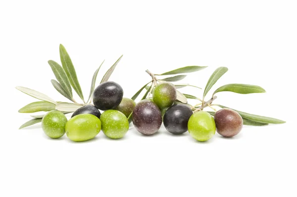 Оливки — стоковое фото