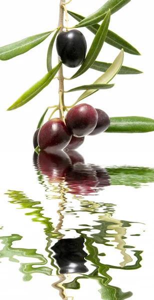 Оливки і води — стокове фото
