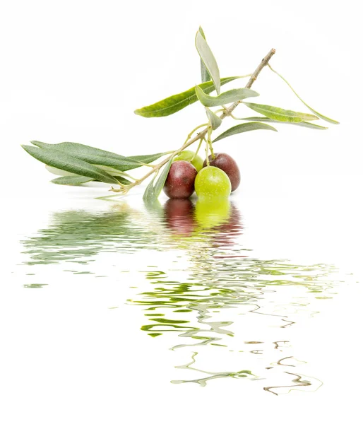 Olive e acqua — Foto Stock