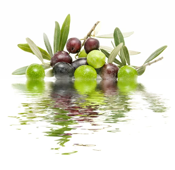 Azeitonas e água — Fotografia de Stock