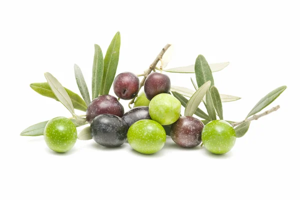 Olive — Foto Stock