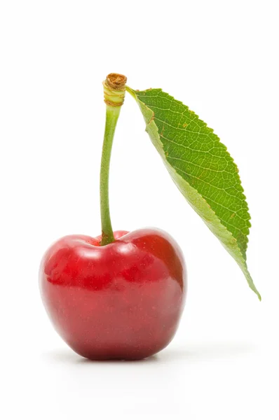 Экологические вишни — стоковое фото