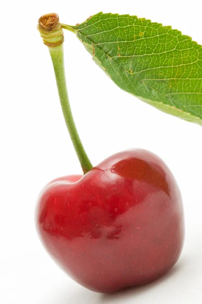 Økologiske kirsebær – stockfoto