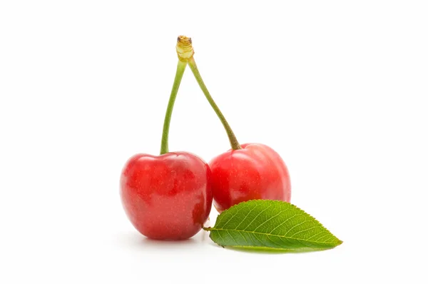 Økologiske kirsebær – stockfoto