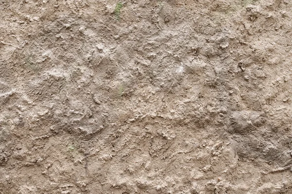 stock image Details of a wall