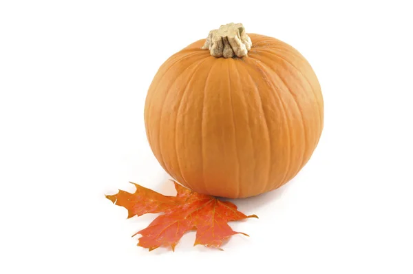 Pumpkin and Maple — Stock Photo, Image