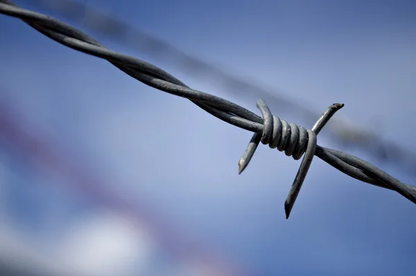 stock image Barbed Wire