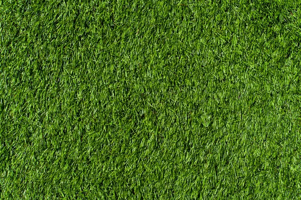 stock image Green Grass