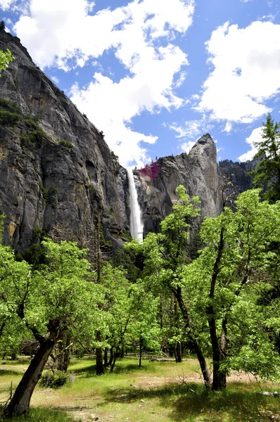 Водопады Йосемити Стоковое Изображение
