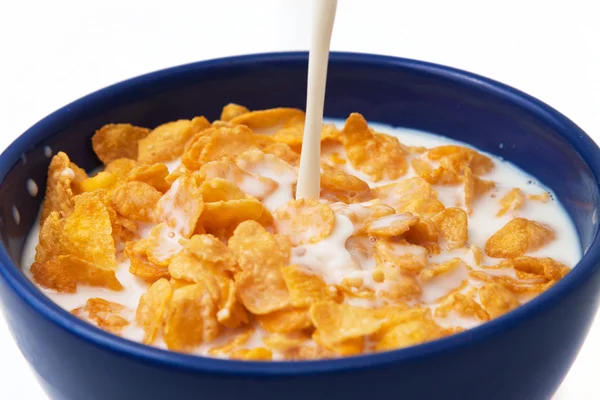 Cereales con leche Fotos de stock libres de derechos