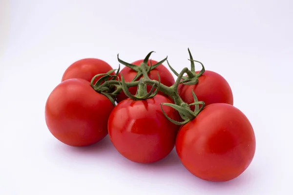 Dewy rode tomaten op — Stockfoto